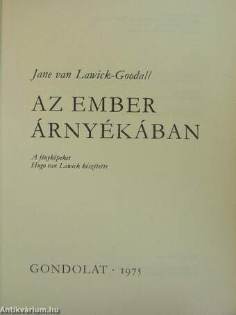 Az ember árnyékában