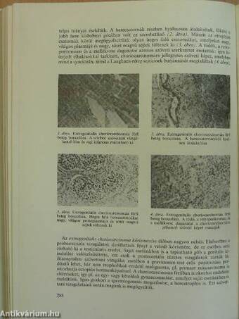 A Fővárosi Bajcsy-Zsilinszky Kórház-Rendelőintézet Jubileumi Tudományos Évkönyve 1932-1982