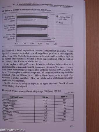 Vállalati stratégiák és szervezetek a rendszerváltást követően