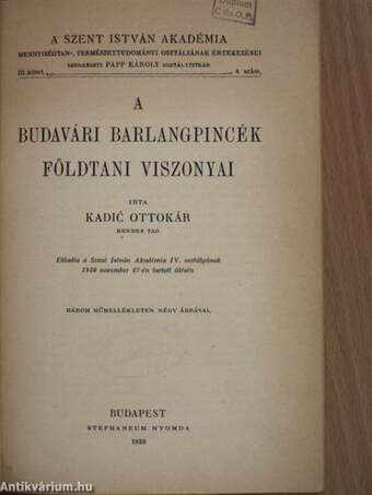 A budavári barlangpincék földtani viszonyai