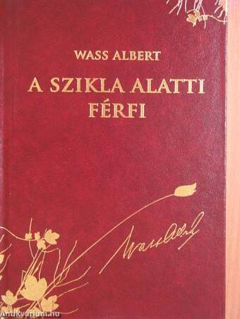 A szikla alatti férfi