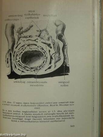 Functionalis anatomia 1-3.