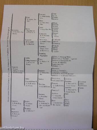 Szarvas várossáról értekezett ugyan azon város' százados ünnepi alkalmatosságára Hellebranth János, hites ügyész és jegyző