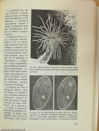 Az emberi test 1-2.