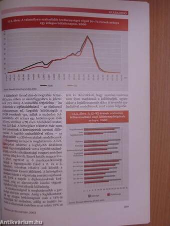 Társadalmi helyzetkép 2003.