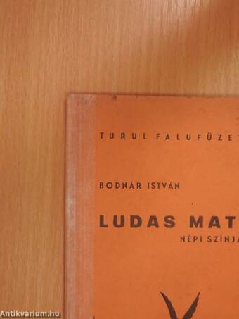 Ludas Matyi