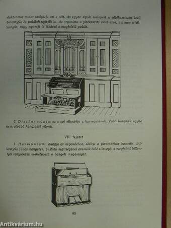 Muzsikus Péter Hangszerországban