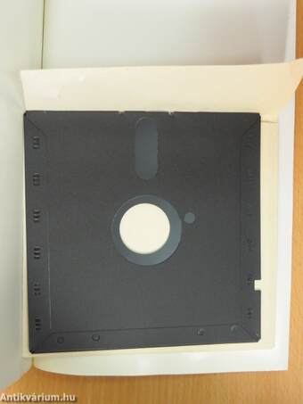 A számítógépes grafika alapjai IBM PC-n - lemezzel