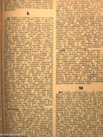 A Pesti Hirlap Vasárnapja 1932. (nem teljes évfolyam)/A Pesti Hirlap karácsonyi albuma