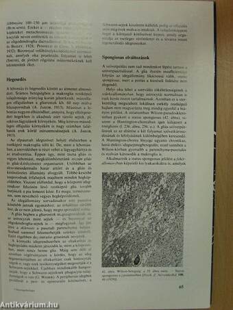 Neuropathologia