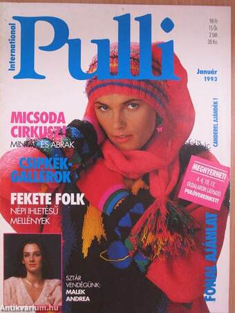 Pulli International 1993. január