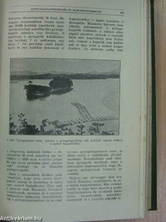 Természettudományi Közlöny 1928. január-december/Pótfüzetek a Természettudományi Közlönyhöz 1928. január-december