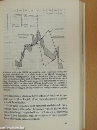 Rejtett dimenziók