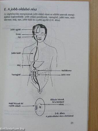 Chi-fejlesztő önmasszázs