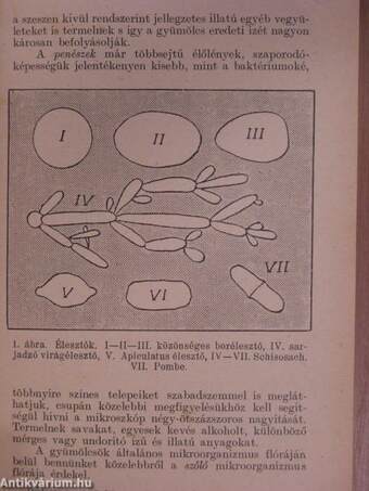 A szőlő és must feldolgozásának új irányai