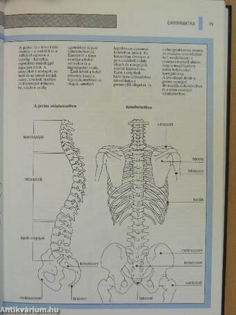 Kiegészítő (komplementer) gyógymódok