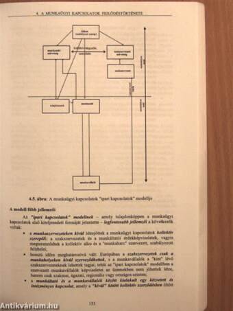 A munkaügyi kapcsolatok rendszere, fejlődése