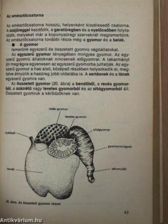 Húsipari technológia I.