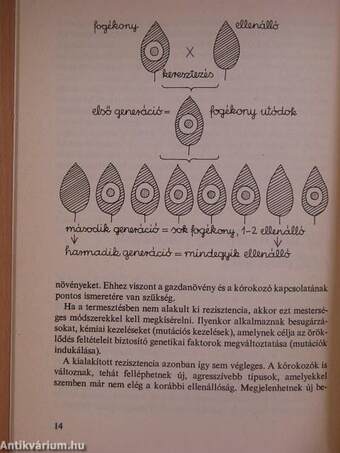 Biológiai védekezés ellenálló zöldségfajtákkal