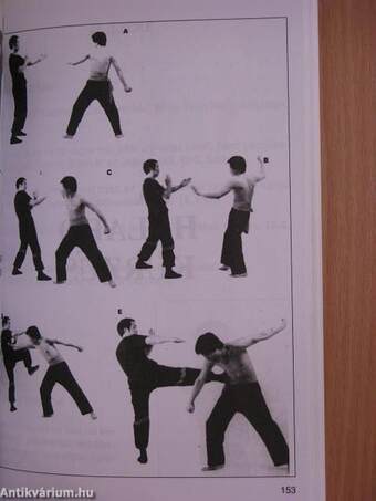 Dynamic Wing Tsun kungfu