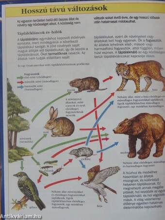 Az élővilág kisenciklopédiája