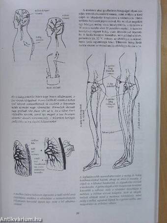 Házi gyógymódok