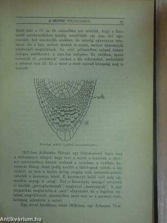 Az emberi test csodái