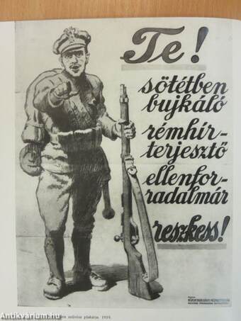 Magyar Tanácsköztársaság emlékkiállítás (1919)