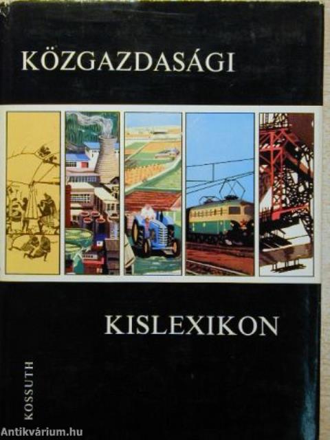 Közgazdasági kislexikon