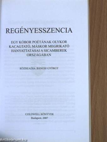 Regényesszencia