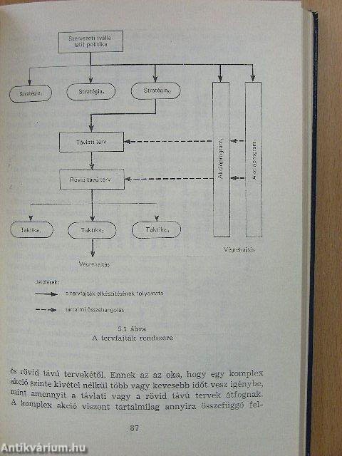 Vezetési modellek