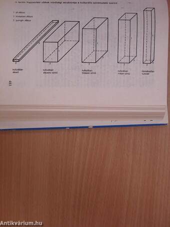 Az életmód az időben, a tárgyakban és az értékekben