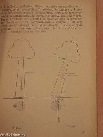 A fadöntés kutatásának új elméleti és gyakorlati eredményei