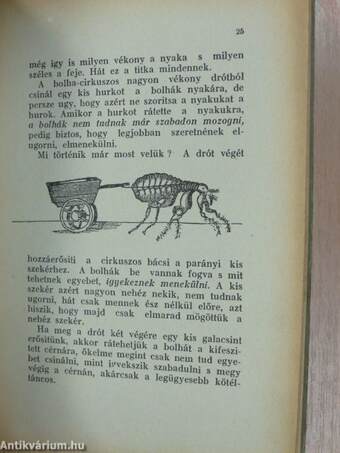 A kis ezermester/Kálmán bácsi játékboltja