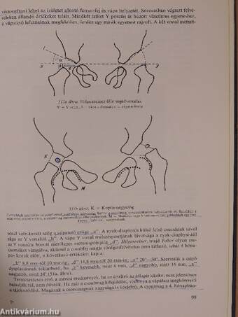 Az orthopaedia tankönyve