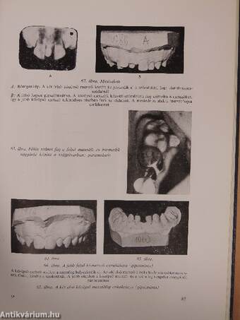 Stomatologia