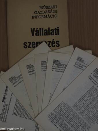 Vállalati szervezés 1976/22.