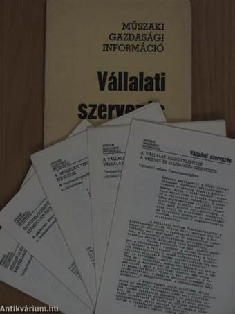 Vállalati szervezés 1975/20.