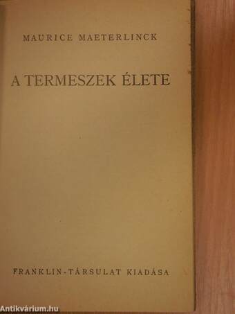 A termeszek élete