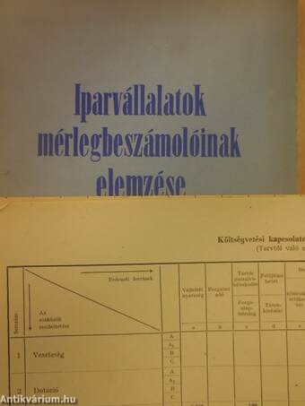 Iparvállalatok mérlegbeszámolóinak elemzése