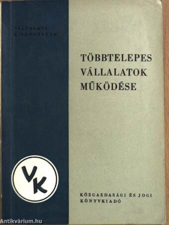 Többtelepes vállalatok működése