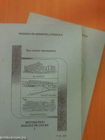 Matematikai analízis példatár I-II.