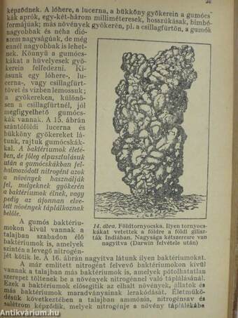 Hogyan keletkezett a világ?/A talaj keletkezése és élete/A hegyek és földrészek keletkezése/Vulkánok/Tengerek és óceánok/A föld keletkezése és kora/A föld és a tenger