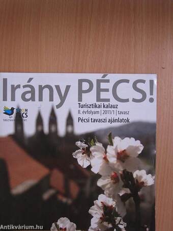 Irány Pécs! 2011/1. tavasz