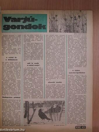 Kertbarát Magazin 1980/1-3.