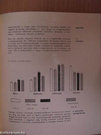 A békéscsabai múzeum állandó kiállítása