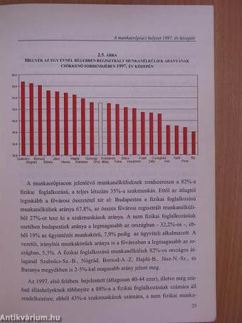 Az iskolarendszerű szakképzés 1990-1996/Munkaerőpiac helyzete 1997. közepén