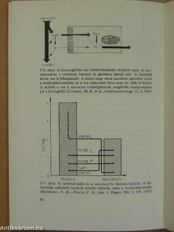 A vérszegénység I. (töredék)