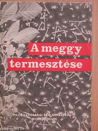 A meggy termesztése