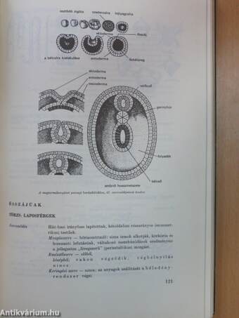 Biológiai önképző